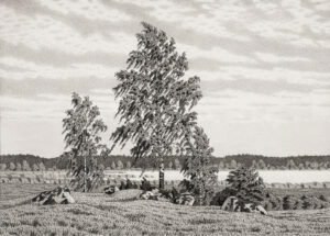Olof Thunman - Birch in the Wind