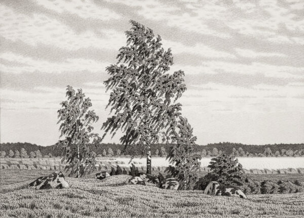 Olof Thunman - Birch in the Wind