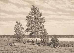 Olof Thunman (1879-1944) - Björk i blåst 